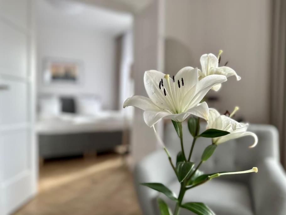 Premium Apartment By Hi - Central 2 Bedroom - Best View Budapeste Exterior foto